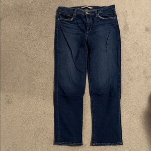 Hudson Jeans Nico Straight Leg Women's Denim